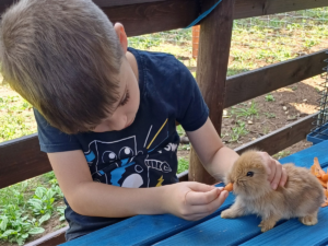 Második gyereknap – Farmon élő állatokkal ismerkedtek meg az ASK tanulói